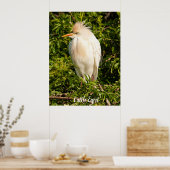 キャトルエグロットのプロフィールポスター ポスター (キッチン)