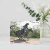 キャトルドライブ# 7 ポストカード (スタンド正面)