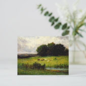 キャトルニアストリーム – エドワード・ミッチェル・バニスター ポストカード (スタンド正面)