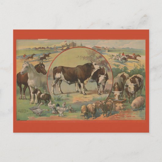 キャトルファームアニマルズレーストラックエフェメラ ポストカード (正面)