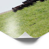 キャトルブラックアンガスフォトプリント フォトプリント            (角)