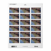 キャニオンで電車のバックグランドアドレスステッカー ラベル (フルシート)