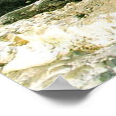 キャニオンのトップ ポスター (角)