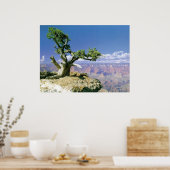 キャニオンのトップ ポスター (キッチン)