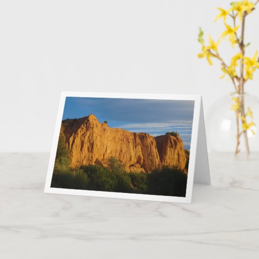 キャニオンの壁の風景 カード (黄色い花)