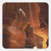 キャニオンの床でサンビームがタンブレウィードを打つ スクエアシール (正面)