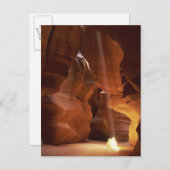 キャニオンの床でサンビームがタンブレウィードを打つ ポストカード (正面/裏面)