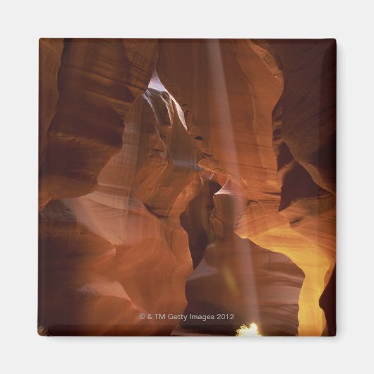 キャニオンの床でサンビームがタンブレウィードを打つ マグネット (正面)