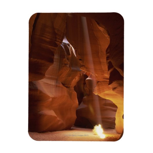 キャニオンの床でサンビームがタンブレウィードを打つ マグネット (縦)