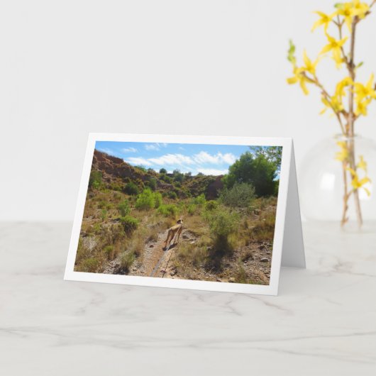 キャニオンの犬 カード (黄色い花)