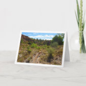 キャニオンの犬 カード (正面)