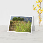 キャニオンの風景 カード (黄色い花)