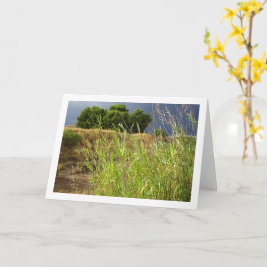 キャニオンの風景 カード (黄色い花)