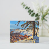 キャニオンウィンタースノーパインツリーズユタ ポストカード (スタンド正面)