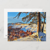 キャニオンウィンタースノーパインツリーズユタ ポストカード (正面/裏面)