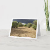 キャニオンオーチャードの上にある嵐の雲の風景 カード (正面)