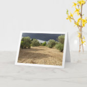 キャニオンオーチャードの風景に嵐の雲 カード (黄色い花)