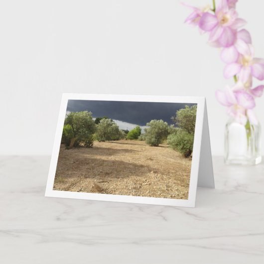 キャニオンオーチャードランドスケープ上のストームクラウド カード (蘭)