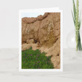 キャニオンカードのアイスプラントHotentot Fig カード (正面)