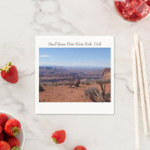 キャニオンズアットデッドホースポイント州パーク スタンダードカクテルナプキン (インサイチュ)