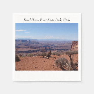 キャニオンズアットデッドホースポイント州パーク スタンダードカクテルナプキン