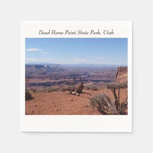 キャニオンズアットデッドホースポイント州パーク スタンダードカクテルナプキン (正面)