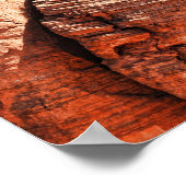 キャニオンデチェリー ポスター (角)