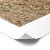 キャニオンマスタンホースコンプセイブアートプリント ポスター (角)