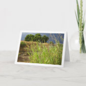 キャニオンランドスケープ カード (正面)