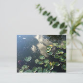 キャニオンレイクスポストカード ポストカード (スタンド正面)