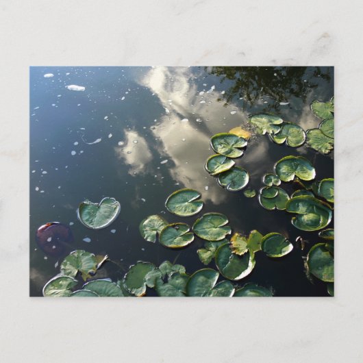 キャニオンレイクスポストカード ポストカード (正面)