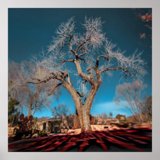 キャニオンロードの古いルーツ ポスター (正面)