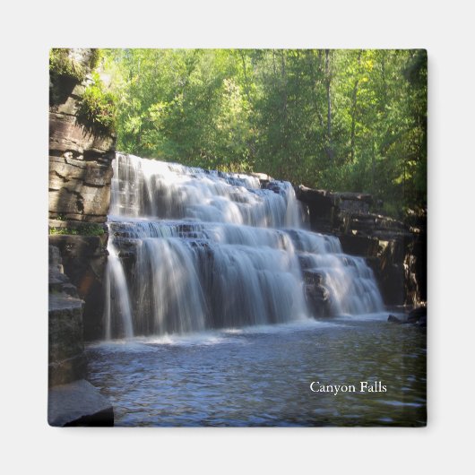 キャニオン秋磁石 マグネット (正面)