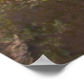 キャニオン鏡 ポスター (角)