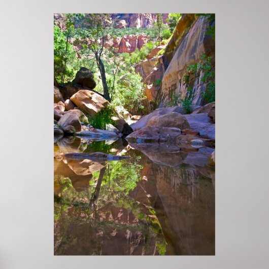 キャニオン鏡 ポスター (正面)