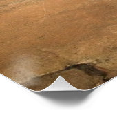 キャニオン・イン・ザ・キャニオン ポスター (コーナー)