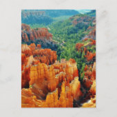 キャニオン ポストカード (正面)