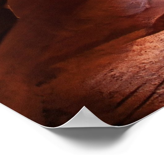 キャニオンX ポスター (角)