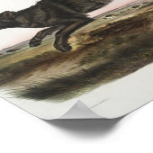 キャニスループス、ブラックアメリカン・ウルフ。男性.アンティーク ポスター (角)