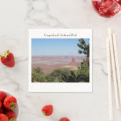 キャニョンランズナショナルパーク スタンダードカクテルナプキン (インサイチュ)