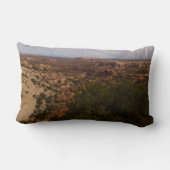 キャニョンランズビューネック春トレイル ランバークッション (裏面)