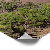 キャニョンランズ国立公園のキャンドルステックタワー ポスター (角)