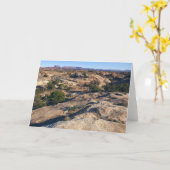 キャニョンランズ国立公園のポットホールポイント カード (黄色い花)