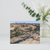 キャニョンランズ国立公園のポットホールポイント ポストカード (スタンド正面)