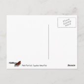 キャニョンランズ国立公園のポットホールポイント ポストカード (裏面)