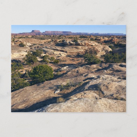 キャニョンランズ国立公園のポットホールポイント ポストカード (正面)