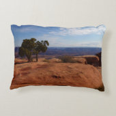 キャニョンランズ国立公園の赤い岩の木 アクセントクッション (裏面)