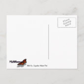 キャニョンランズ国立公園の赤い岩の木 ポストカード (裏面)