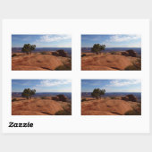 キャニョンランズ国立公園の赤い岩の木 長方形シール (シート)