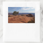 キャニョンランズ国立公園の赤い岩の木 長方形シール (バッグ)